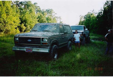 1984 Ford Bronco - A muddy 1980 Ford Bronco and a pickup truck are seen in a grassy, wooded area.