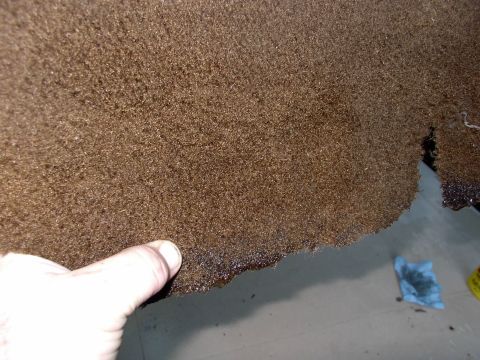1986 Ford Bronco - The rugs are dry (light) enough to pick off the picnic tables in 15 minutes and hang up. 3 hours later , with the center dry to the touch,…
