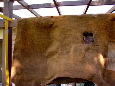 1986 Ford Bronco - Clean enough for you ? Look in the bottom R/H side of the pic. There's that dirt mattled spot your size 12 was grinding dirt into forever.…