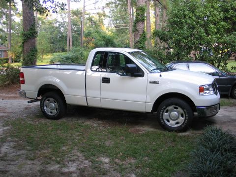 2004 Ford F-150 - A white 2004 Ford F-150 pickup truck is parked outdoors on a grassy area.