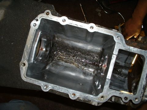 1992 Ford Ranger - Shavings......delicious.