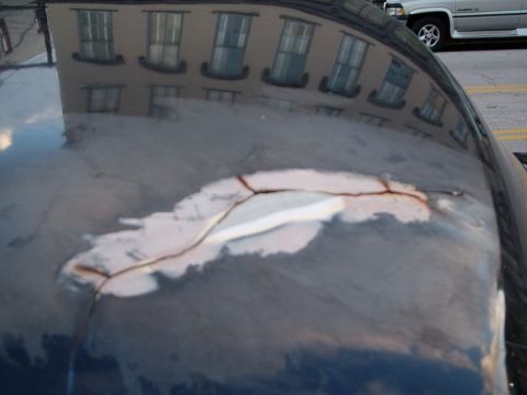 1993 Ford Bronco - The roof of a dark-colored vehicle shows significant cracking in the paint and primer, with a reflection of a building in the background.