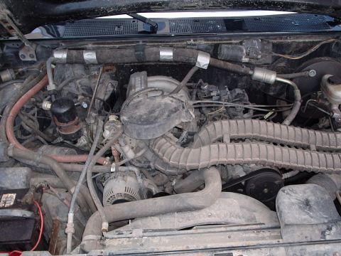 1993 Ford Bronco - Close-up view of a V8 engine bay, showing various hoses, belts, and engine components.