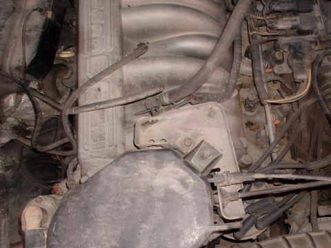 1993 Ford Bronco - Engine bay detail with intake manifold and various hoses and wires visible.
