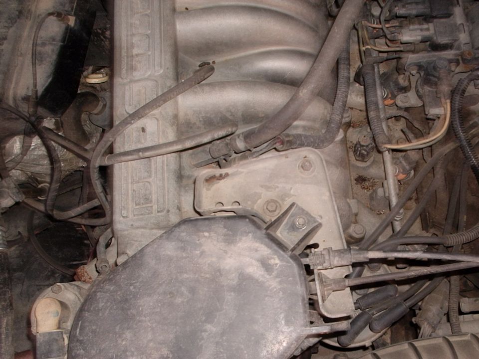 Close-up of engine bay showing intake manifold and wiring