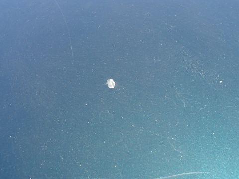 1993 Ford Taurus - Paint chip on the hood of a vehicle.