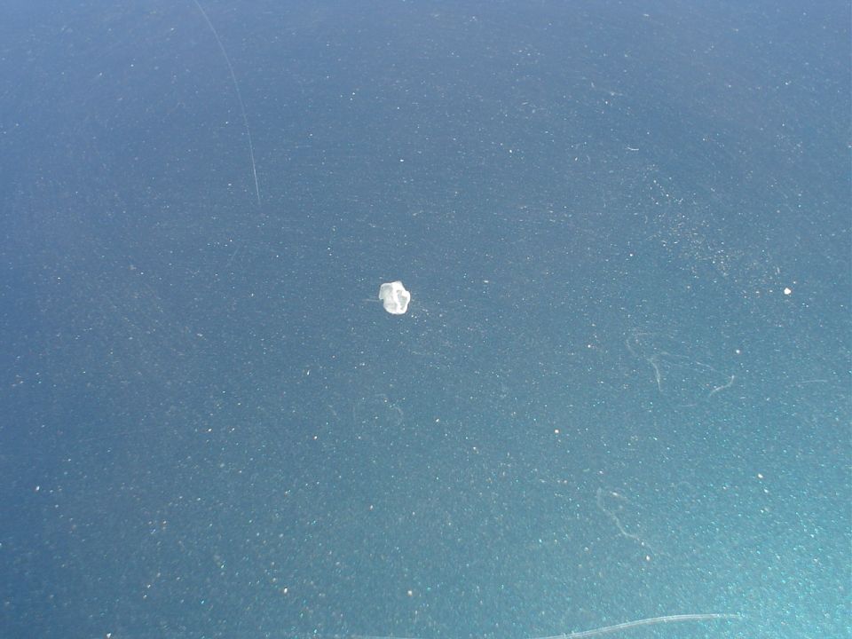 Close-up of a small, light-colored paint chip on a dark blue car hood