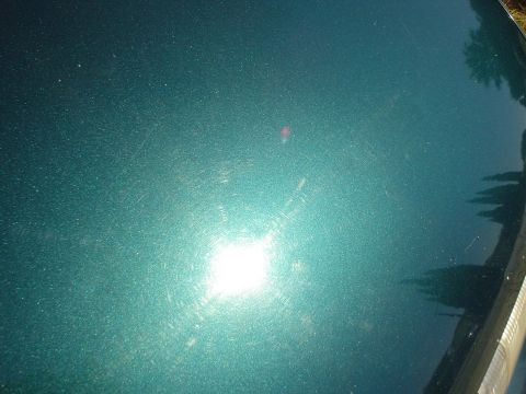 1993 Ford Taurus - Close-up of a green metallic car hood shows numerous scratches and swirl marks under bright sunlight.