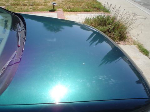 1993 Ford Taurus - Close-up of a green car's hood, showing reflections and minor surface imperfections.