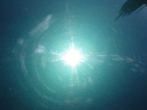 1993 Ford Taurus - Swirl marks are visible on the car's paintwork, indicating recent polishing or buffing.