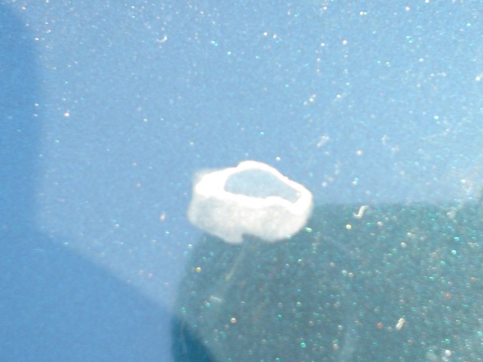 Paint chip on blue car body