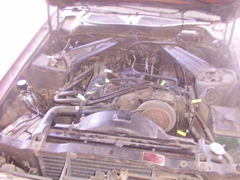1973 Mercury Cougar “Cleo”