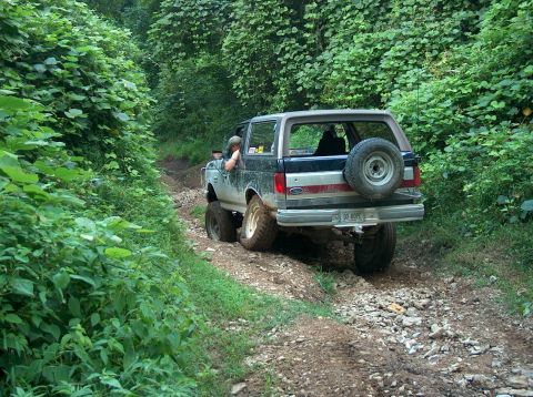 1989 Ford Bronco - This 1989 Ford Bronco navigates a challenging off-road path surrounded by dense foliage.