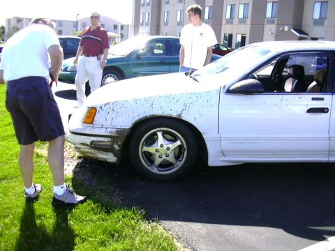 1998 Ford Taurus - Mud splatters cover the front fender and side of a white 1998 Ford Taurus parked next to a green sedan.
