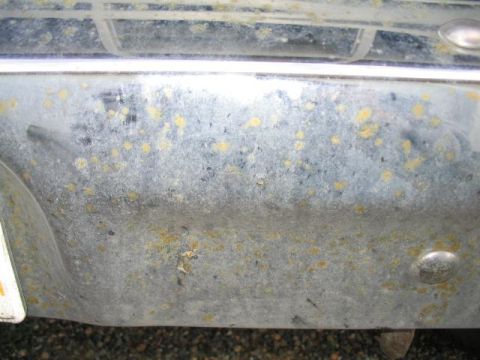 1979 Ford F-150 - Close-up of the front bumper of a 1979 Ford F-150, showing signs of wear and rust.