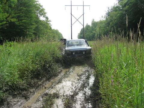 1986 Ford Bronco - A truck navigates a muddy trail surrounded by tall grass and trees, with another vehicle following.