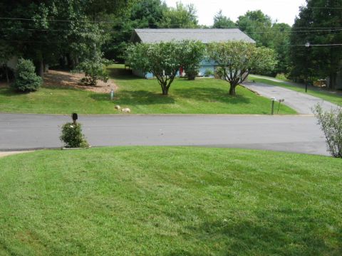 1985 Ford LTD Crown Victoria - A quiet residential street with a well-maintained lawn and a house in the background.