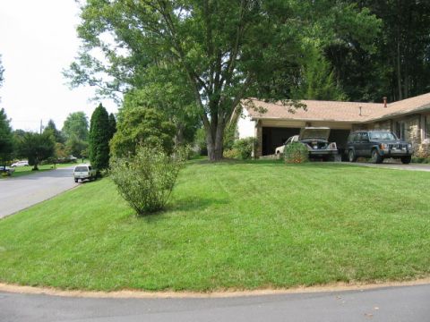1985 Ford LTD Crown Victoria - A suburban scene with multiple vehicles parked in front of a residence.