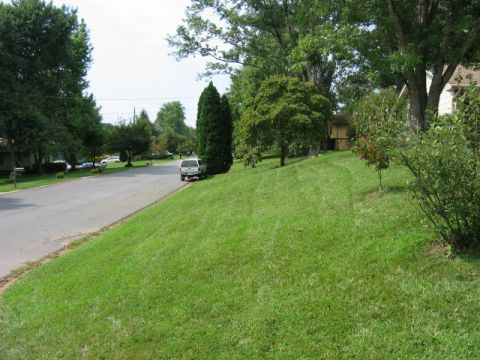 1985 Ford LTD Crown Victoria - A white pickup truck is parked on the side of a street in a suburban neighborhood.