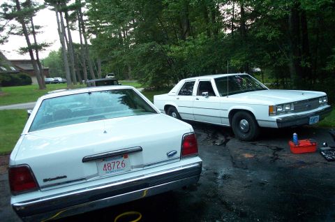 1991 Ford LTD Crown Victoria - Two white sedans are parked on a driveway next to trees and a house.