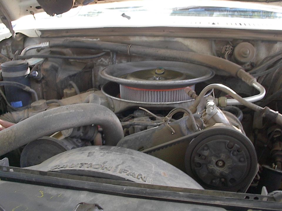 1982 Ford Bronco “Mud Slinger”