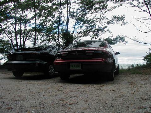 1997 Ford Taurus - Two sedans are parked on a dirt road with trees and water in the background.