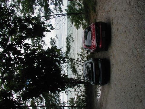 1997 Ford Taurus - Two cars are parked on a dirt road next to a body of water, with trees in the foreground.