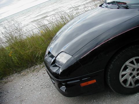 1997 Ford Taurus - Front corner of a black car parked by the water, with tall grass and a gravel road visible.