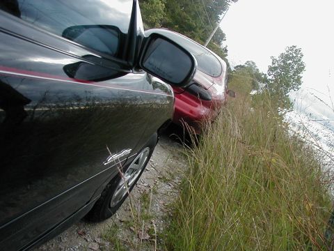 1997 Ford Taurus - Two cars are parked on a dirt road, partially obscured by tall grass.