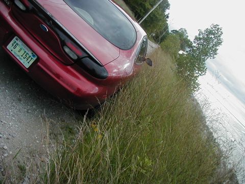1997 Ford Taurus - A red Ford Taurus is partially obscured by tall grass on the side of a road.