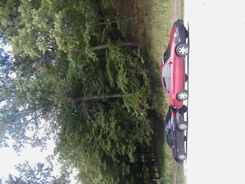 1997 Ford Taurus - Two sedans are parked side-by-side on a paved surface, with trees and foliage in the background.