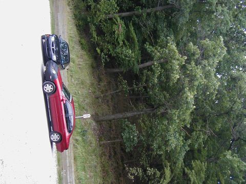 1997 Ford Taurus - Two sedans are parked side-by-side on a paved surface with trees in the background.
