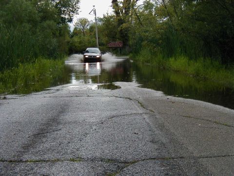 1997 Ford Taurus - A car splashes through floodwaters on a rural road, with dense vegetation on either side.