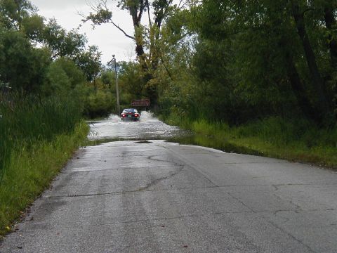 1997 Ford Taurus - A car navigates through a flooded section of a road surrounded by trees and tall grass.