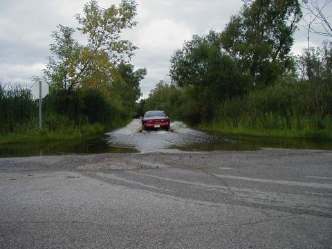 1997 Ford Taurus - A red sedan drives through a flooded road, kicking up water.