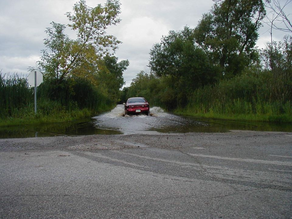 Red sedan driving through a flooded road with trees and reeds on the sides