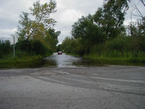 1997 Ford Taurus - A car navigates a flooded road under an overcast sky, surrounded by dense vegetation.