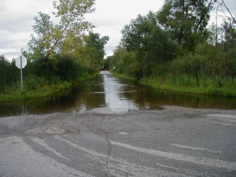 1997 Ford Taurus - A road is flooded with water, with trees and vegetation lining the sides and a stop sign visible.