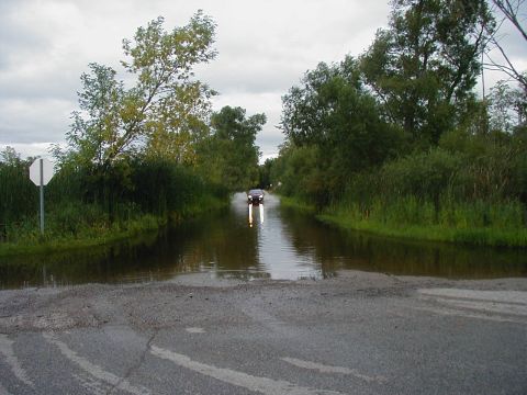 1997 Ford Taurus - A dark sedan navigates a flooded road surrounded by lush green trees under an overcast sky.