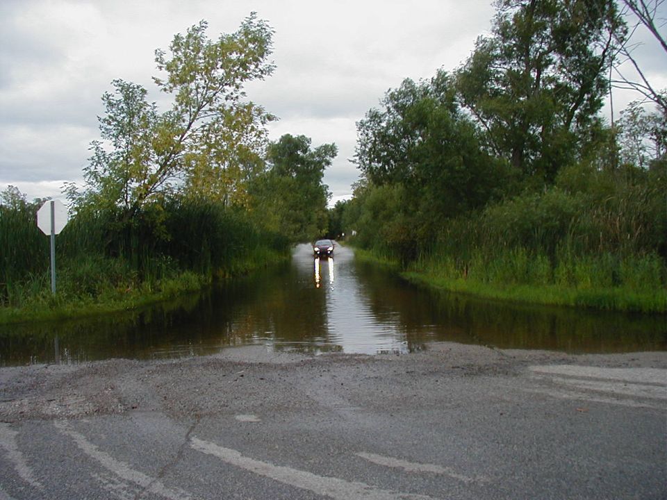 Dark sedan driving through flooded road with trees and a stop sign