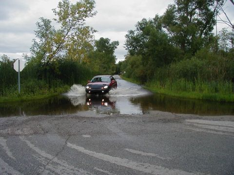 1997 Ford Taurus - Car driving through a flooded road with trees and vegetation on the sides.