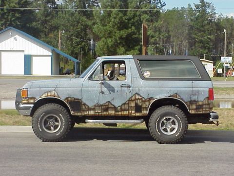 1989 Ford Bronco - Driver's-side profile of a light blue full-size Ford Bronco with a black removable hardtop, custom airbrushed mountain and tree scenery pai…