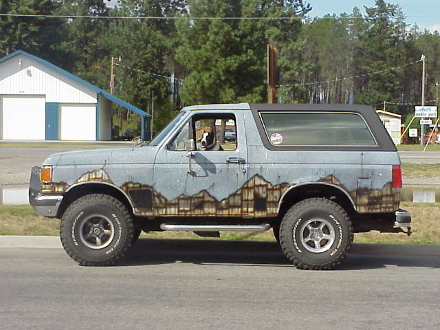 Light blue Ford Bronco with airbrushed mountain mural and a dog in the driver's window