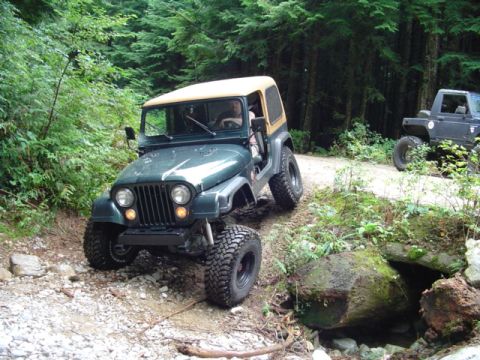 1993 Ford Bronco - blame canada
