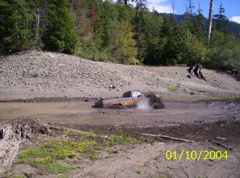 1983 Ford Bronco - A truck is stuck in a muddy area with trees in the background.
