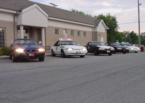 1993 Ford Mustang - A lineup of Ford Mustang police cars from the 1990s parked outside a building.