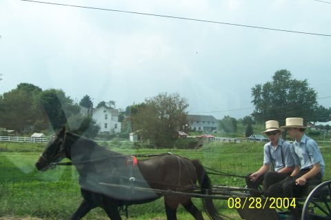 1979 Ford Bronco II - Two young men ride in a horse-drawn buggy past rural houses and fields.