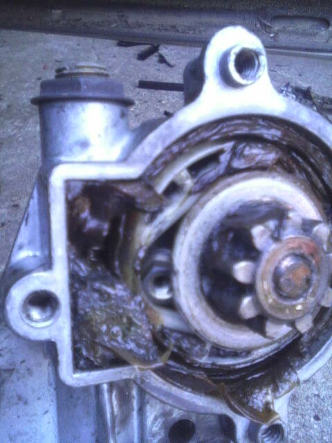1987 Lincoln Town Car - Starter motor component, showing internal gears and lubrication.