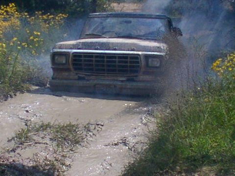 1979 Ford Bronco photo