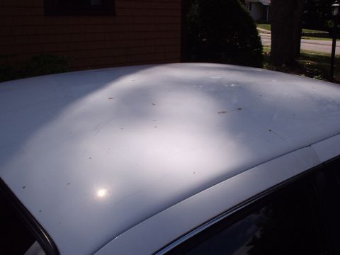 1998 Ford Taurus - Overhead close-up of a car's silver/light-blue painted roof panel showing oxidized, hazy clearcoat with scattered brown sap or rust specks…